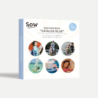 総合版カタログBLUE